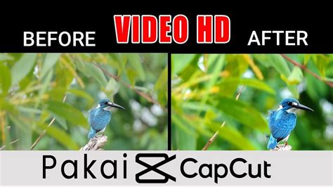 Mengangkat Kualitas Video Anda dengan Mudah! Pelajari Cara Konversi Video Biasa Menjadi HD Tanpa Perlu Aplikasi yang Ribet